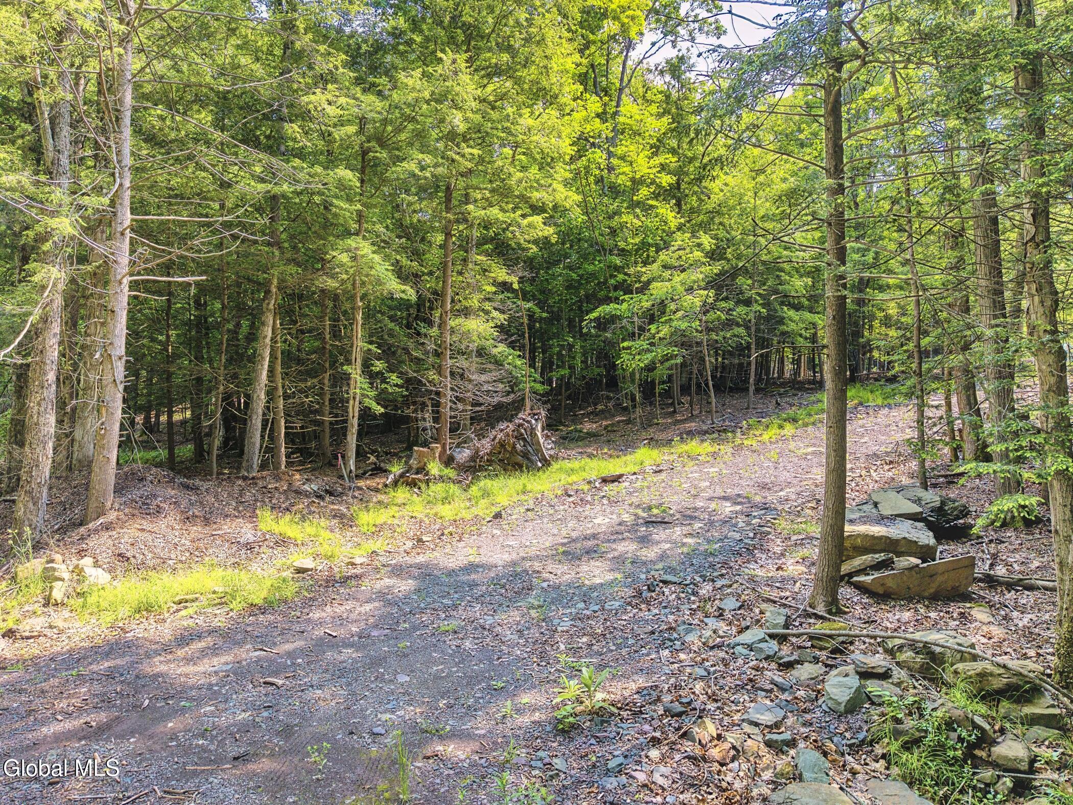 Tbd Boulder Brook Road Windham NY 12496