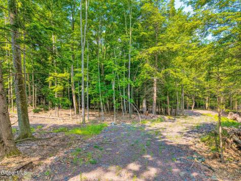 Tbd Boulder Brook Road Windham NY 12496
