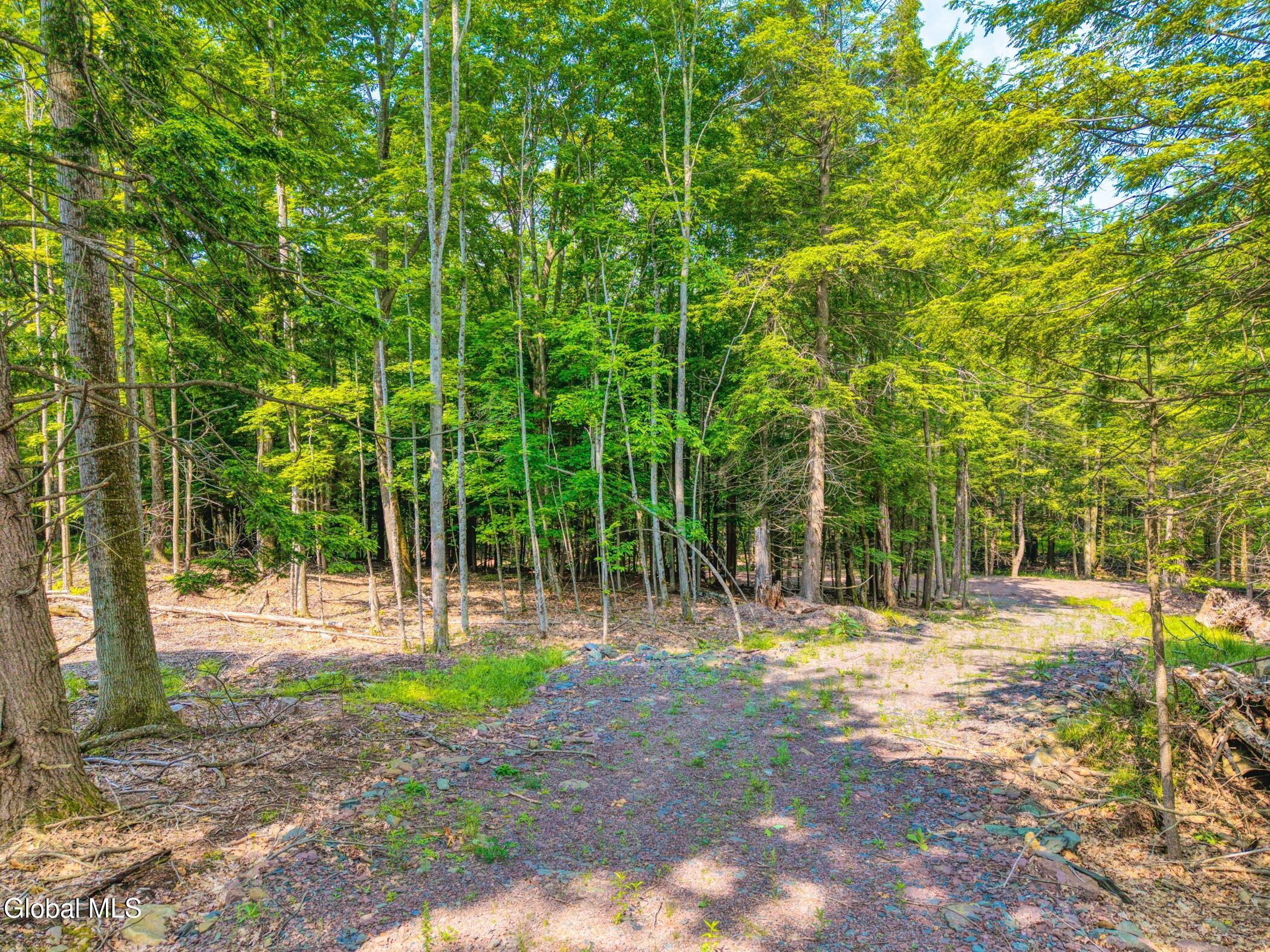 Tbd Boulder Brook Road Windham NY 12496