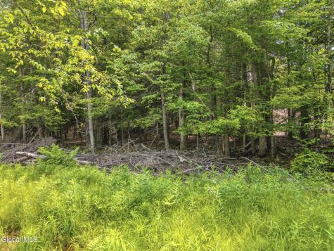 Tbd Boulder Brook Road Windham NY 12496