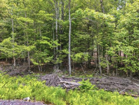 Tbd Boulder Brook Road Windham NY 12496