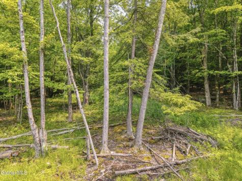 Tbd Boulder Brook Road Windham NY 12496
