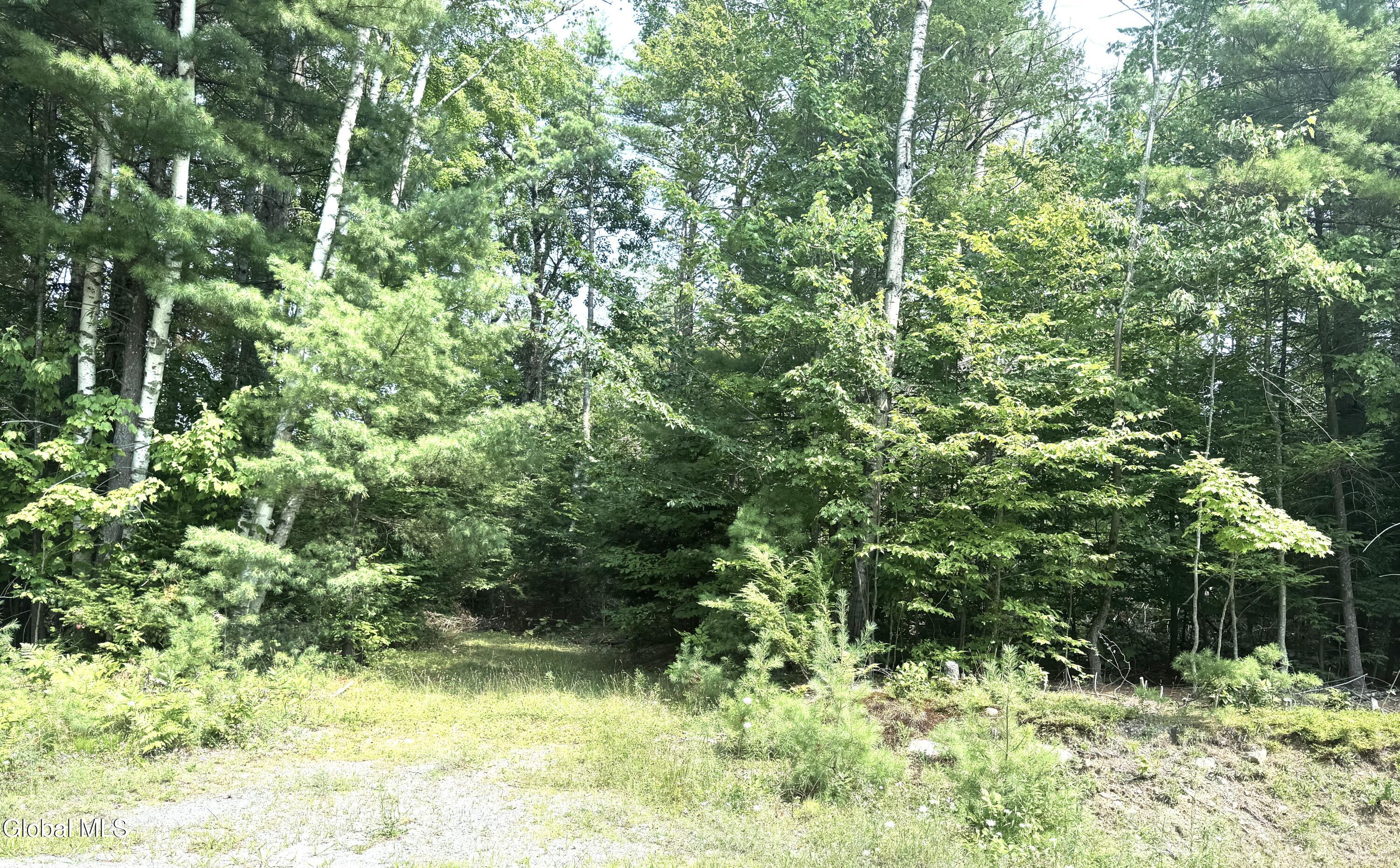 L21 New (off) County Route 11 Bolton NY 12814