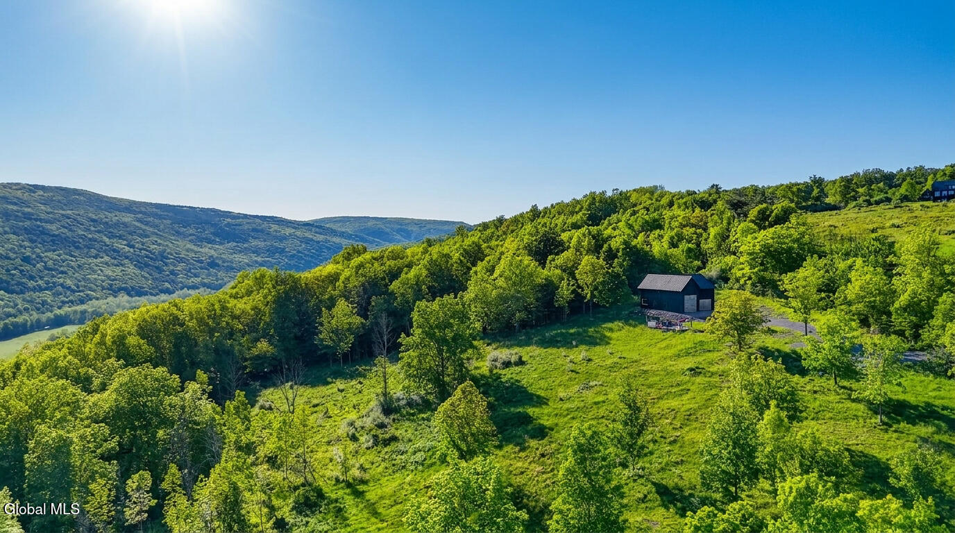 10.10 Cheese Hill Road Rensselaerville NY 12147