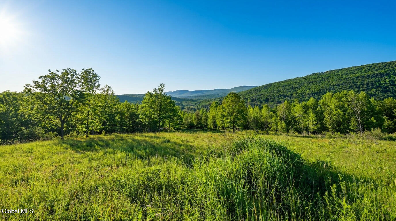 10.10 Cheese Hill Road Rensselaerville NY 12147