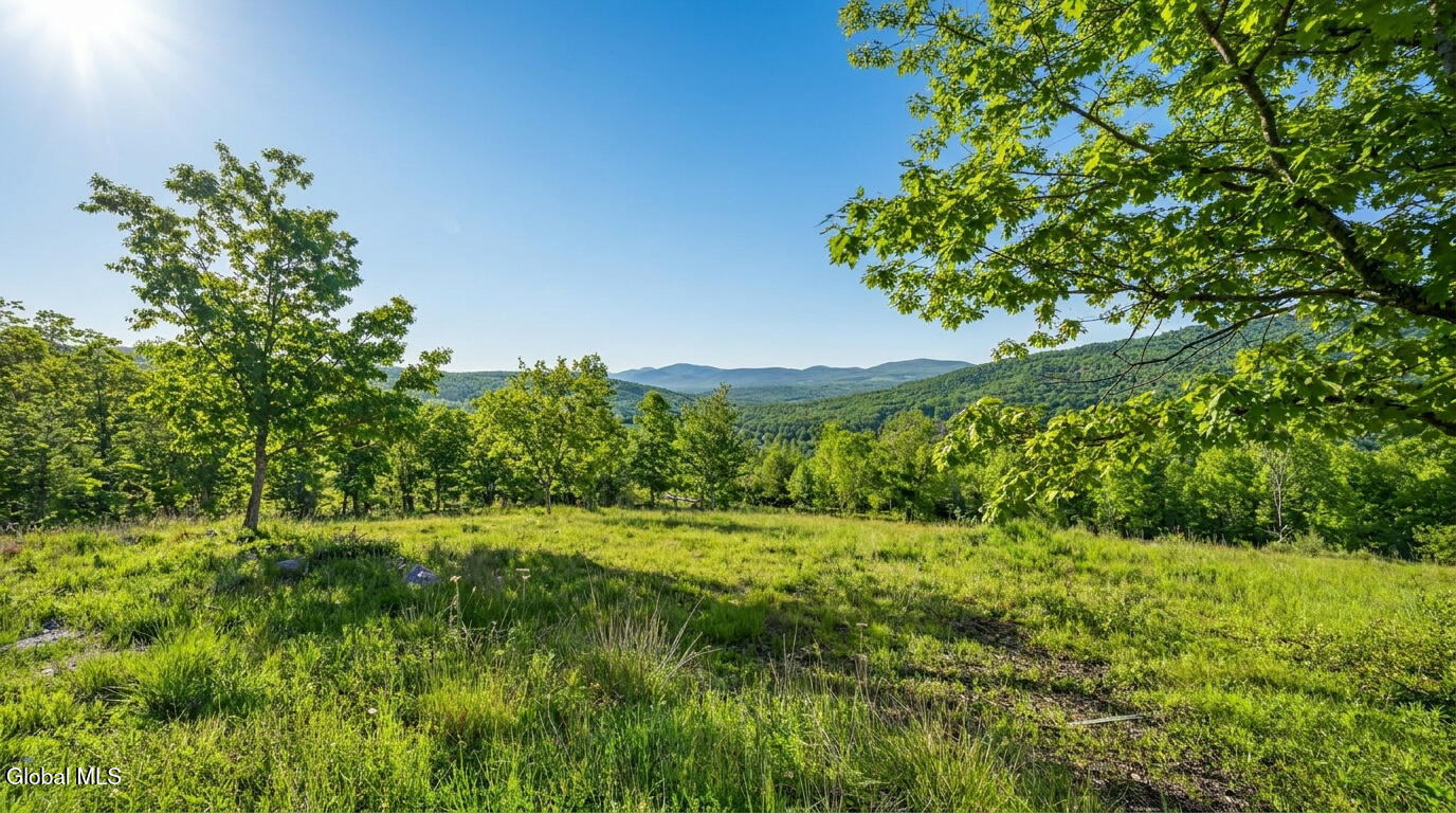 10.10 Cheese Hill Road Rensselaerville NY 12147