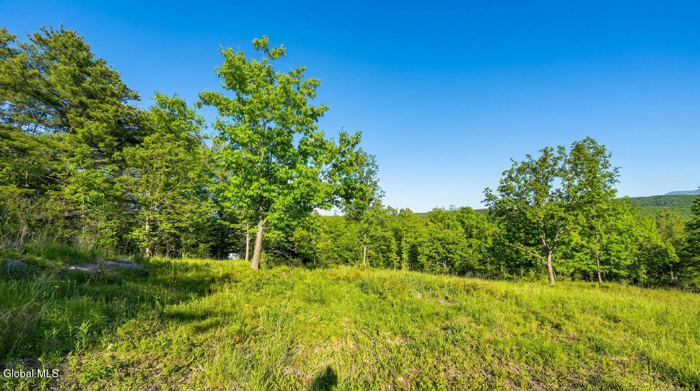 10.10 Cheese Hill Road Rensselaerville NY 12147