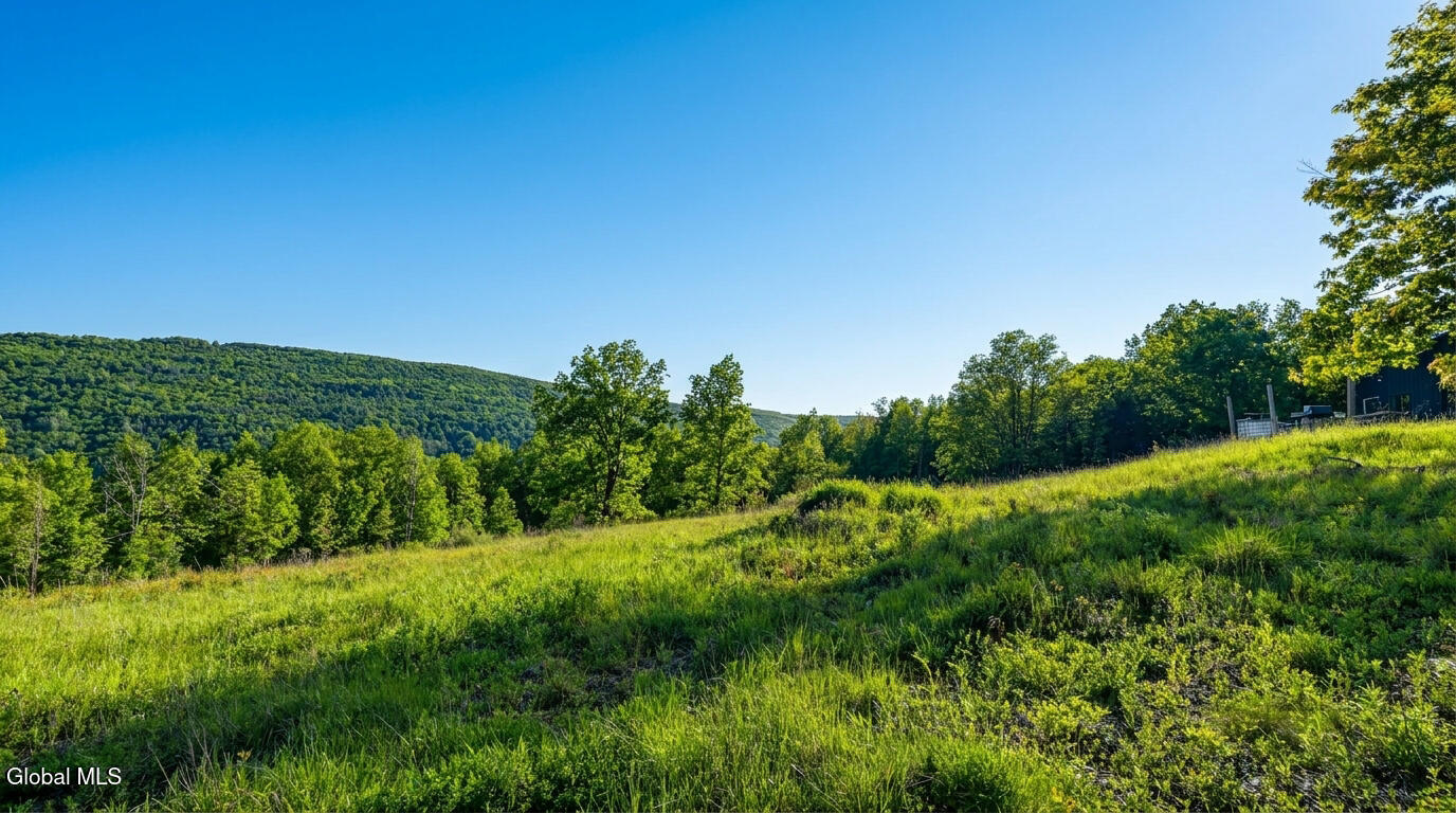 10.10 Cheese Hill Road Rensselaerville NY 12147