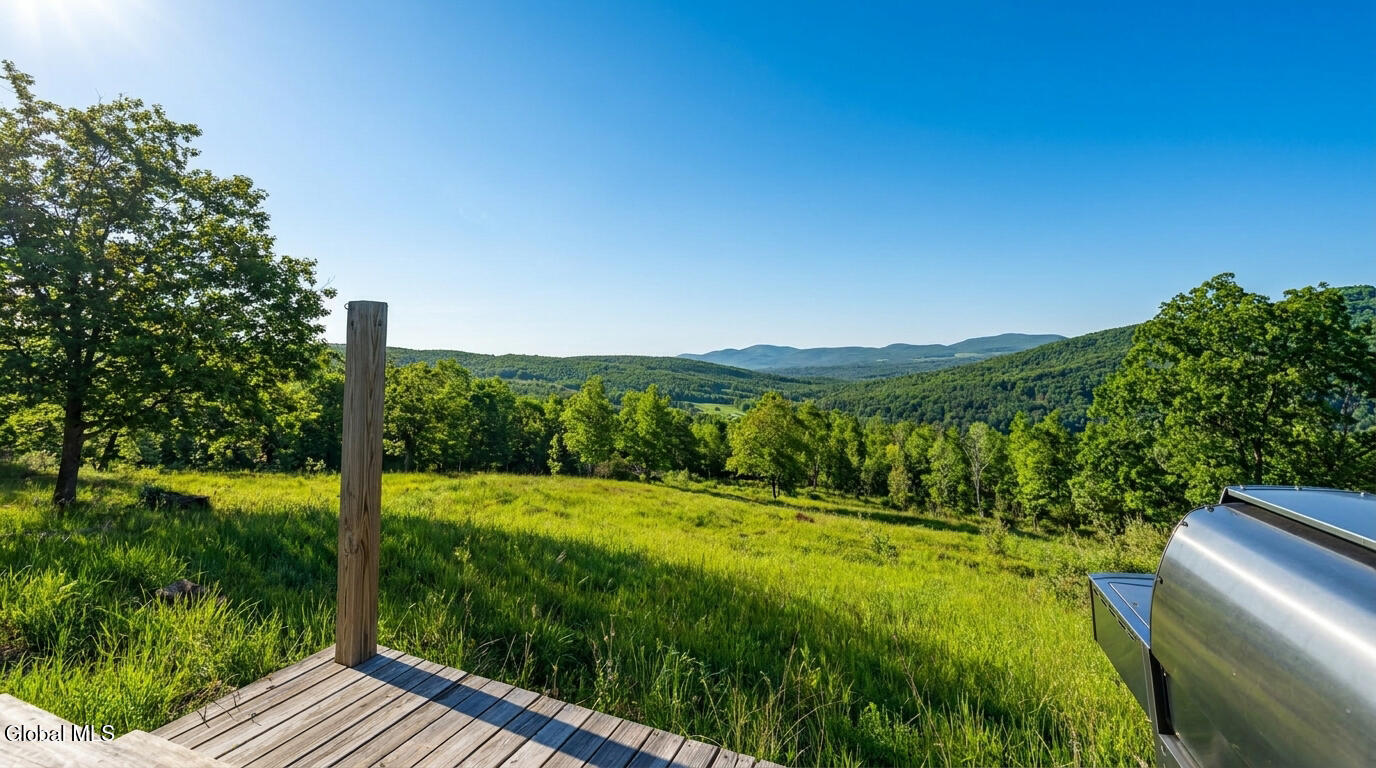 10.10 Cheese Hill Road Rensselaerville NY 12147