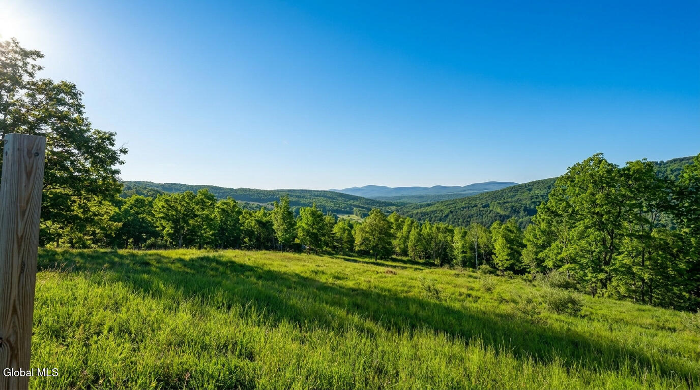 10.10 Cheese Hill Road Rensselaerville NY 12147