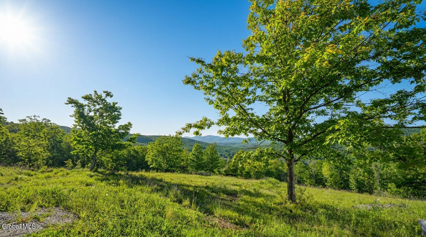 10.10 Cheese Hill Road Rensselaerville NY 12147