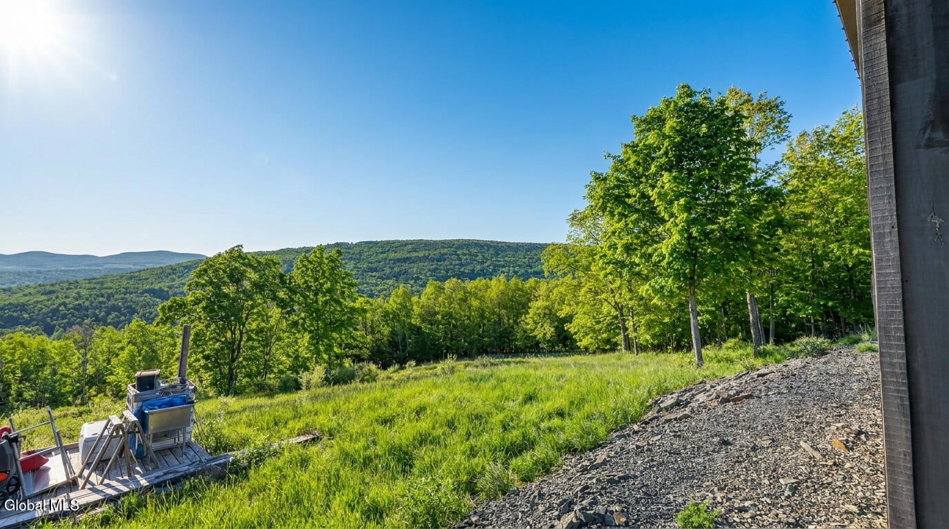 10.10 Cheese Hill Road Rensselaerville NY 12147