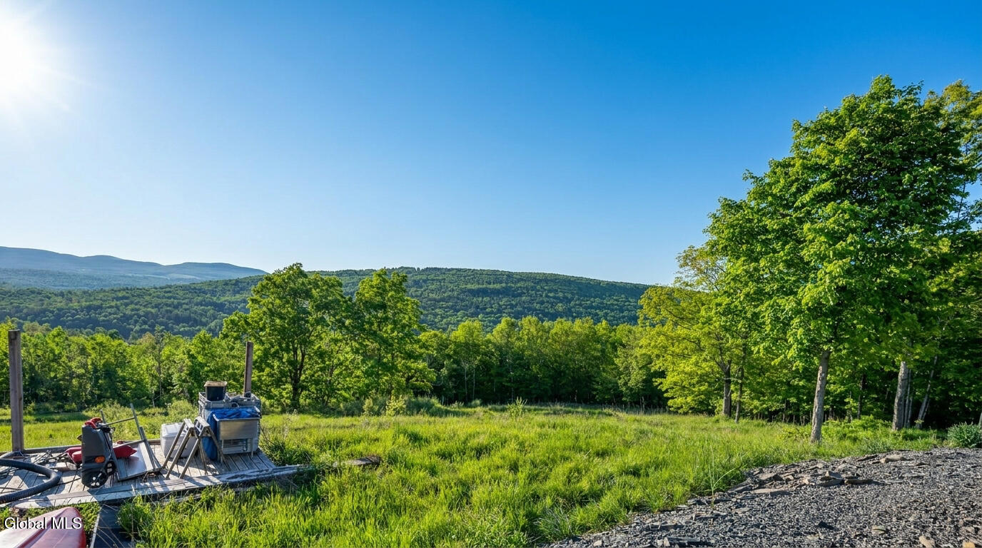 10.10 Cheese Hill Road Rensselaerville NY 12147