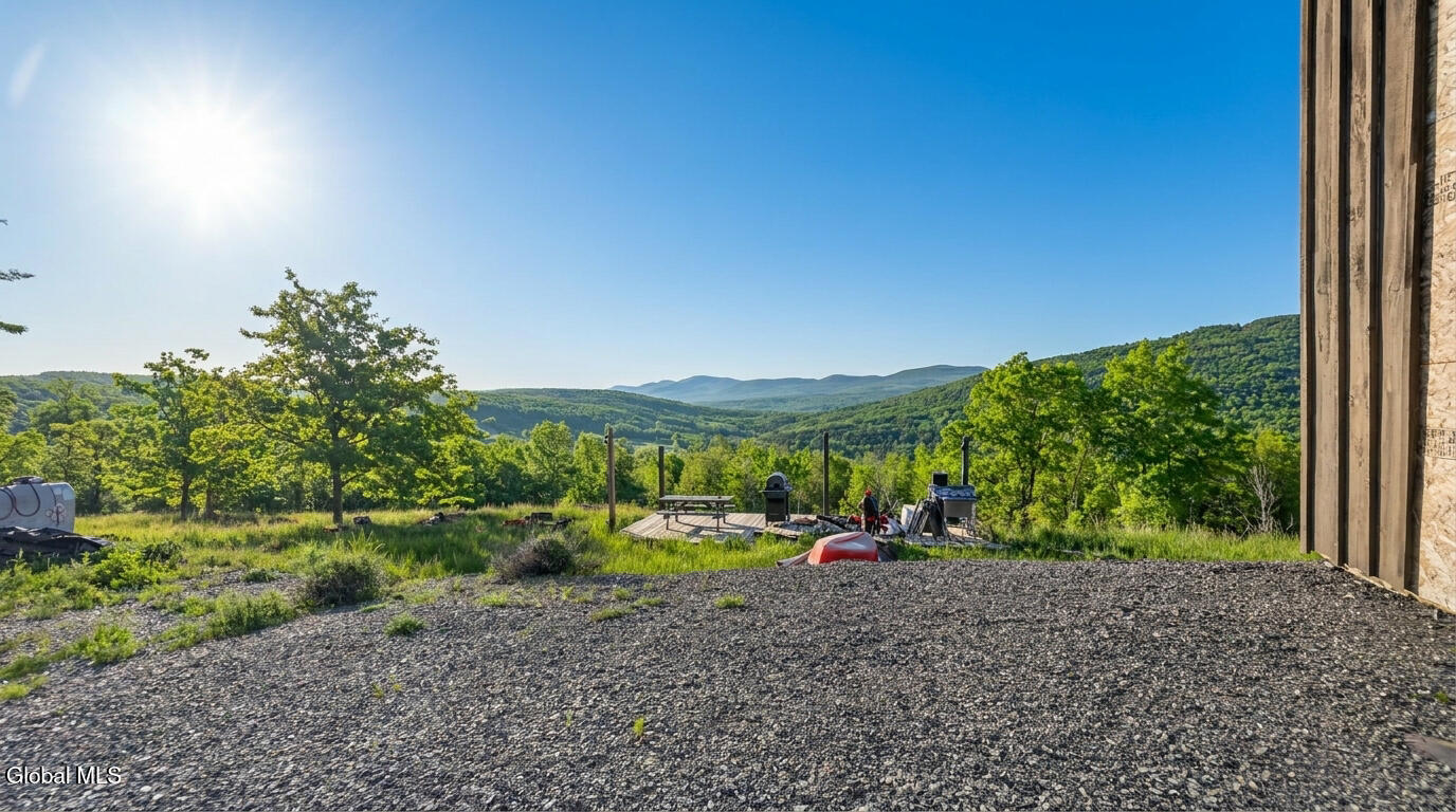 10.10 Cheese Hill Road Rensselaerville NY 12147