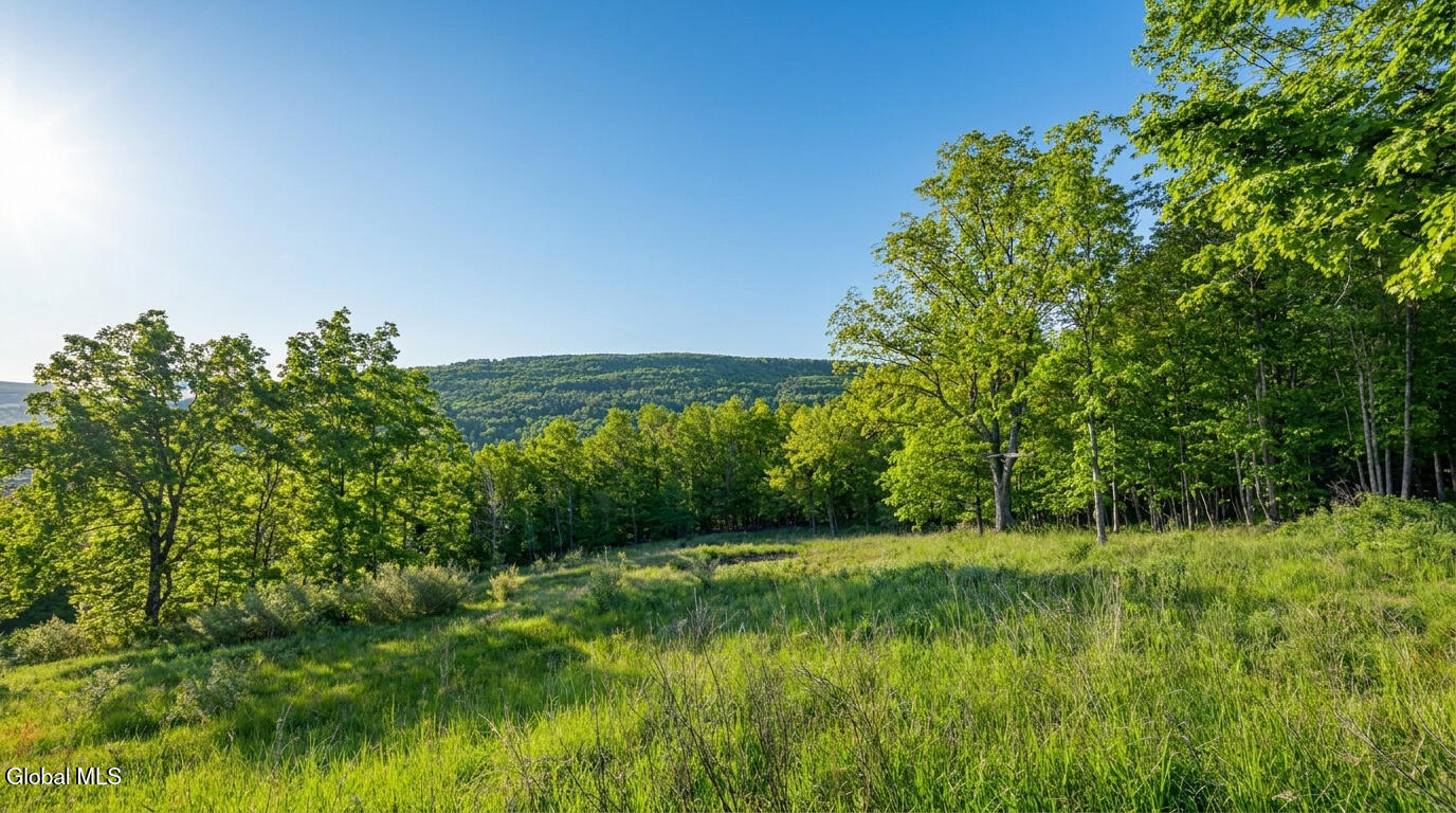 10.10 Cheese Hill Road Rensselaerville NY 12147