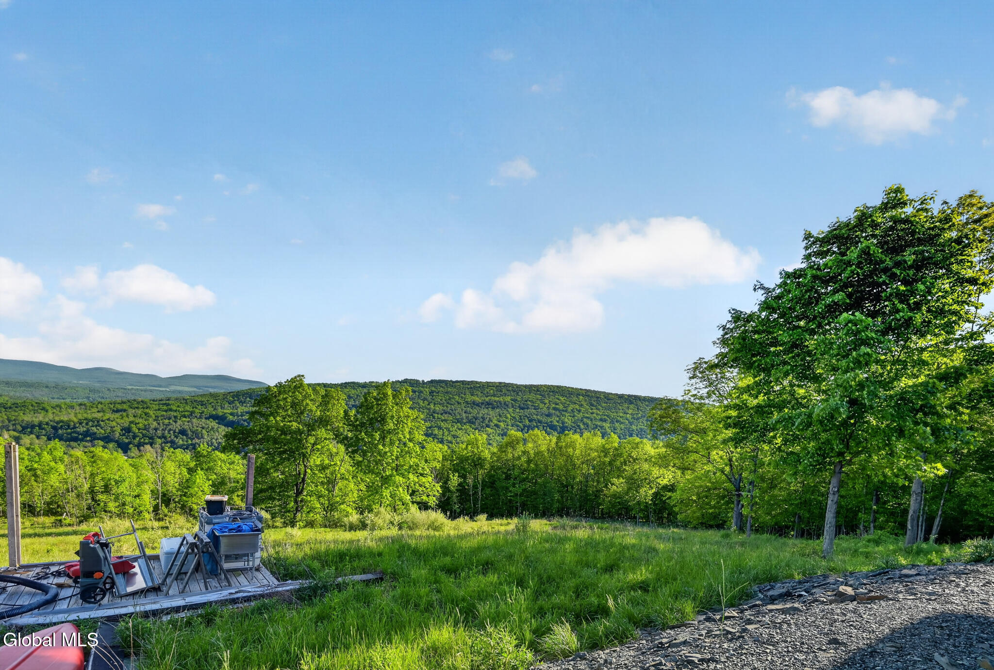 10.10 Cheese Hill Road Rensselaerville NY 12147