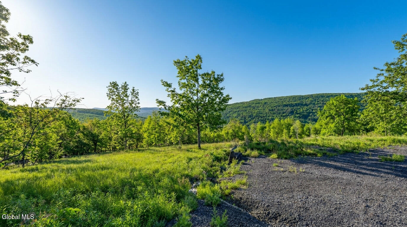 10.10 Cheese Hill Road Rensselaerville NY 12147