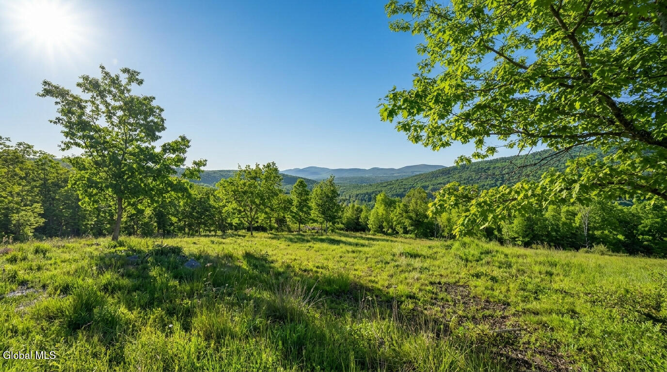 10.10 Cheese Hill Road Rensselaerville NY 12147