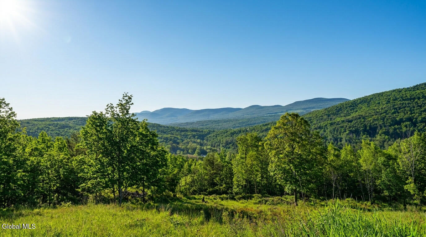 10.10 Cheese Hill Road Rensselaerville NY 12147