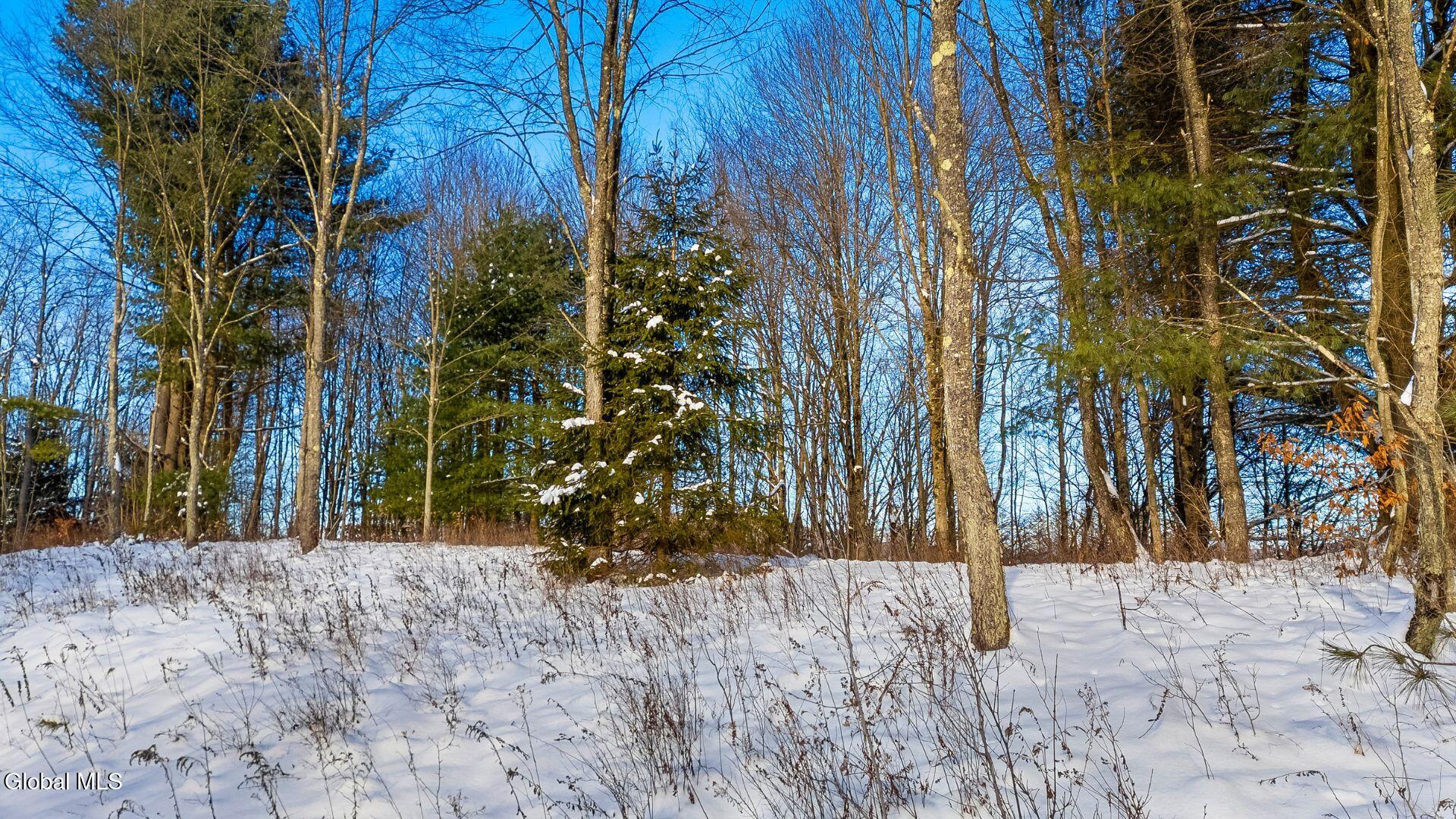 L1 County Road 16 Otselic NY 13155