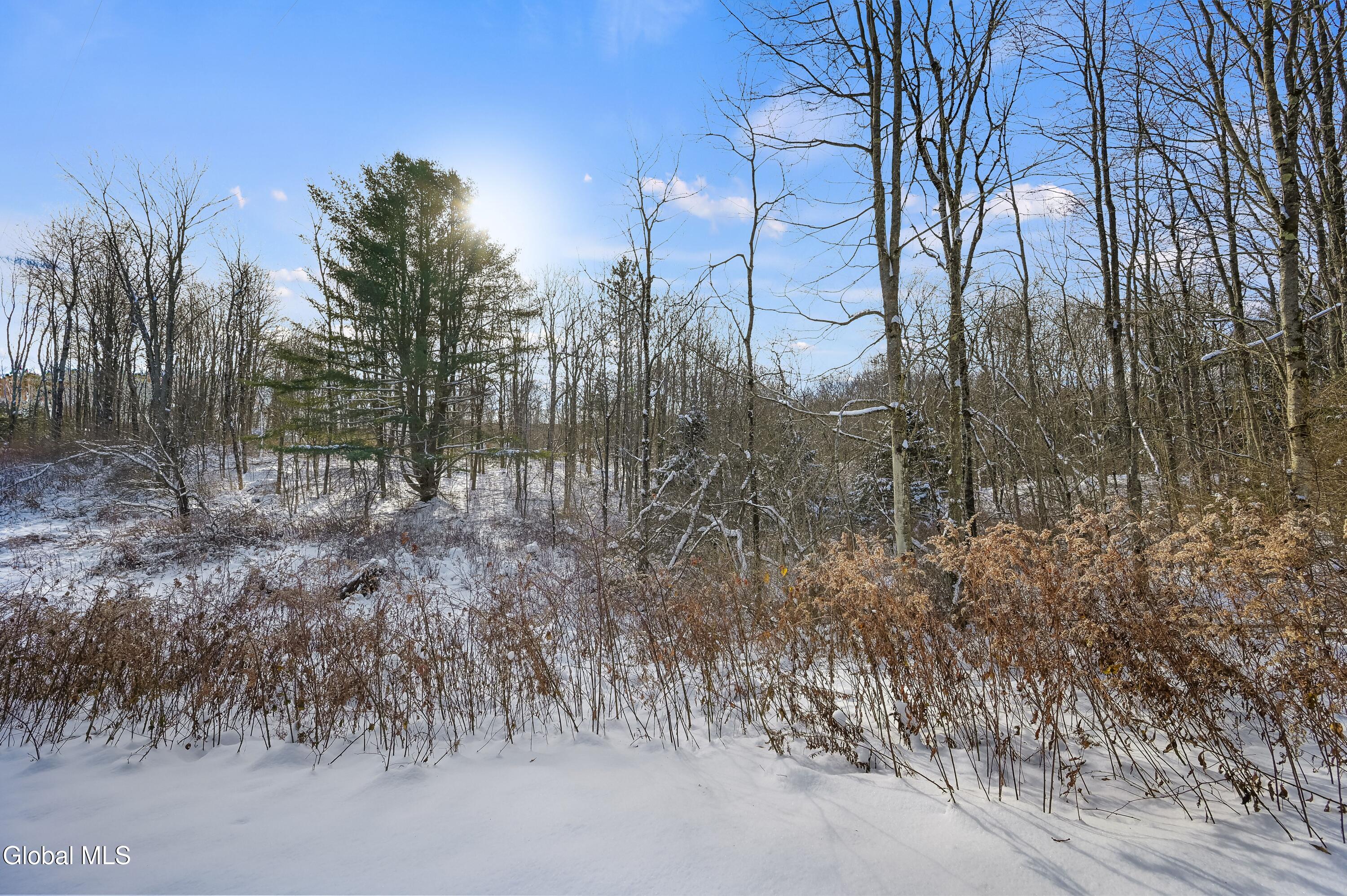 L1 County Road 16 Otselic NY 13155