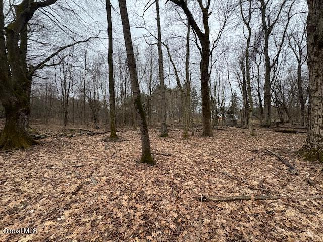 945 Saratoga Road Ballston Lake NY 12019