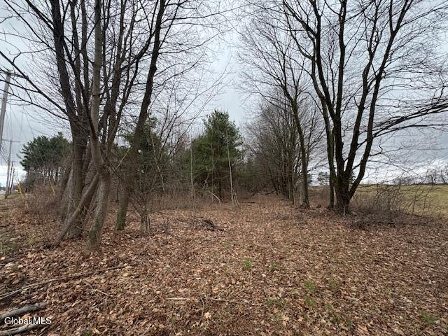 945 Saratoga Road Ballston Lake NY 12019