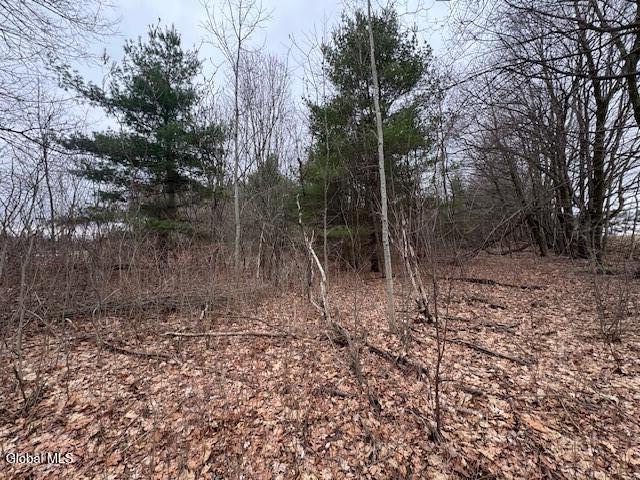 945 Saratoga Road Ballston Lake NY 12019