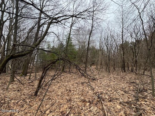 945 Saratoga Road Ballston Lake NY 12019