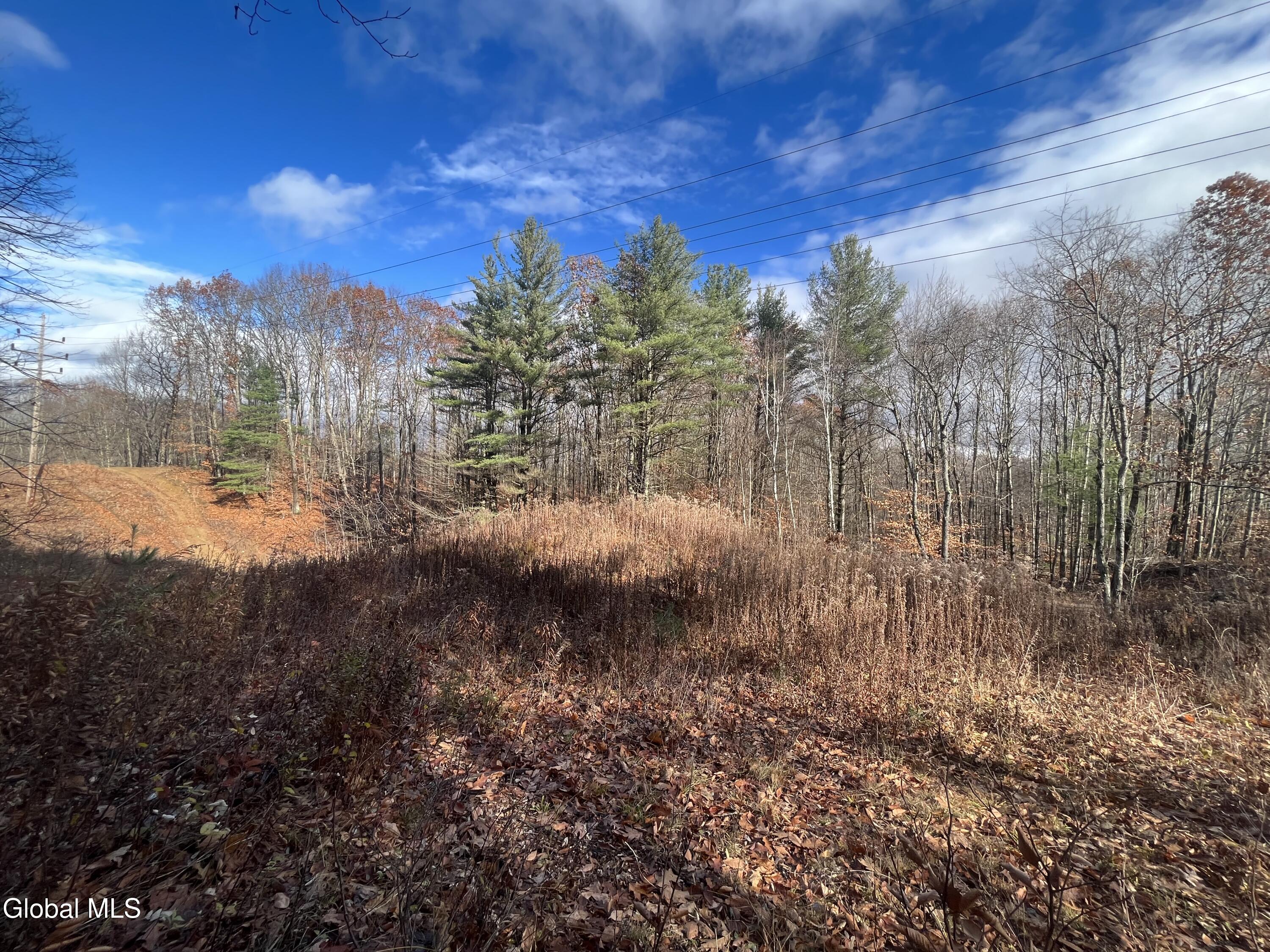 L38.11 Spring Avenue Extension E Gloversville NY 12078
