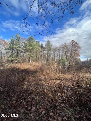 L38.11 Spring Ave Ext E Gloversville NY 12078