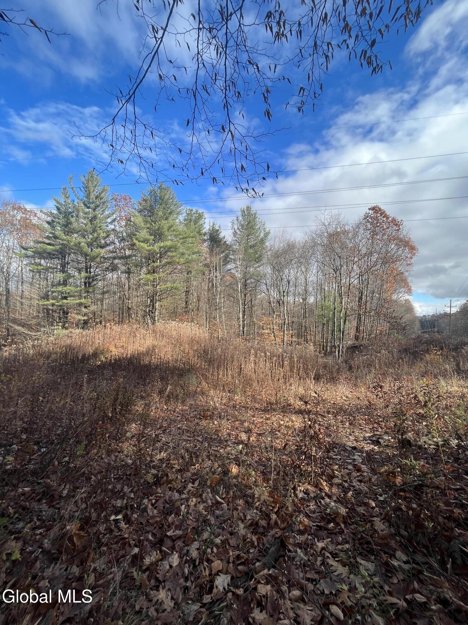L38.11 Spring Avenue Extension E Gloversville NY 12078