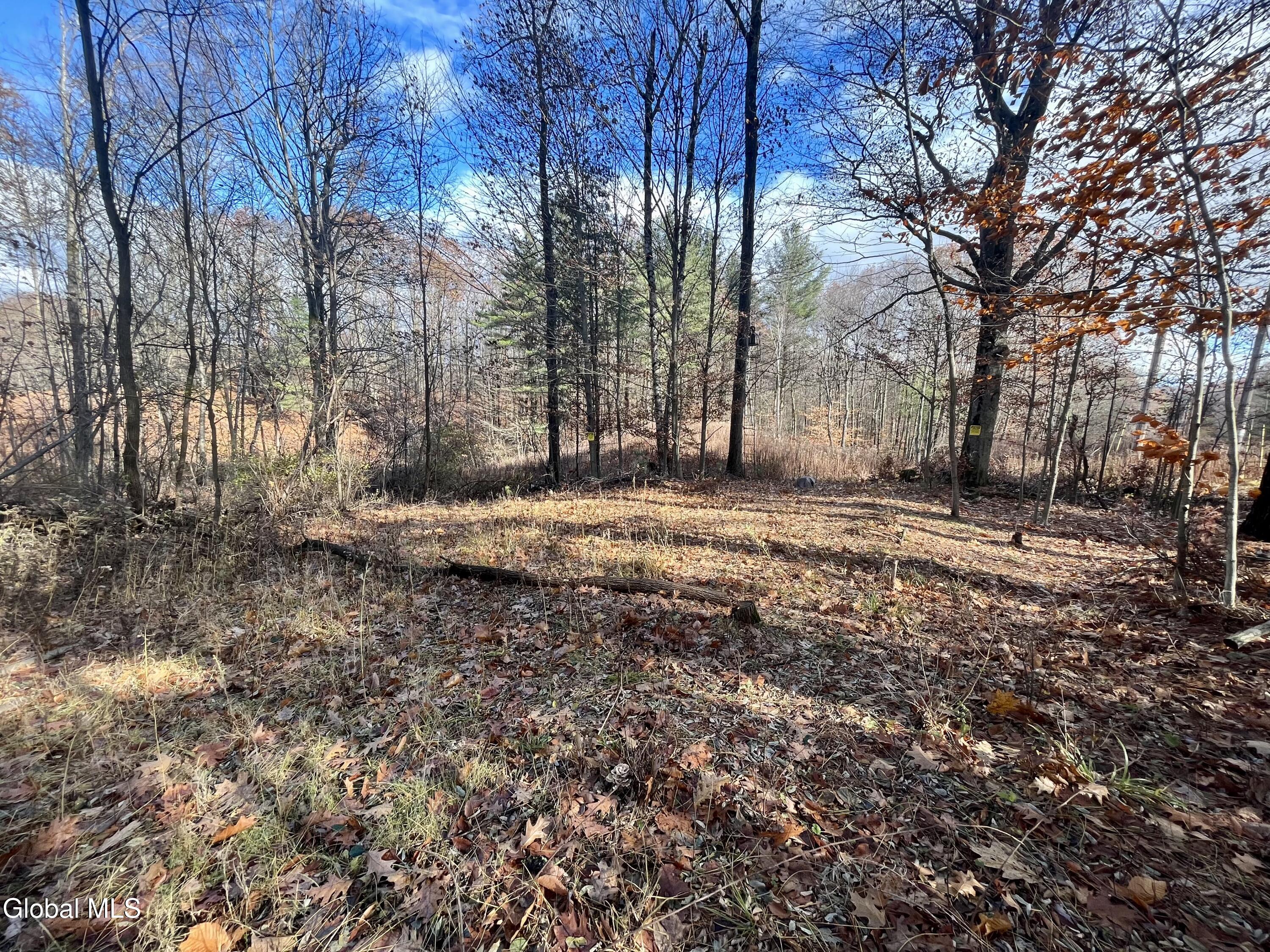 L38.11 Spring Avenue Extension E Gloversville NY 12078