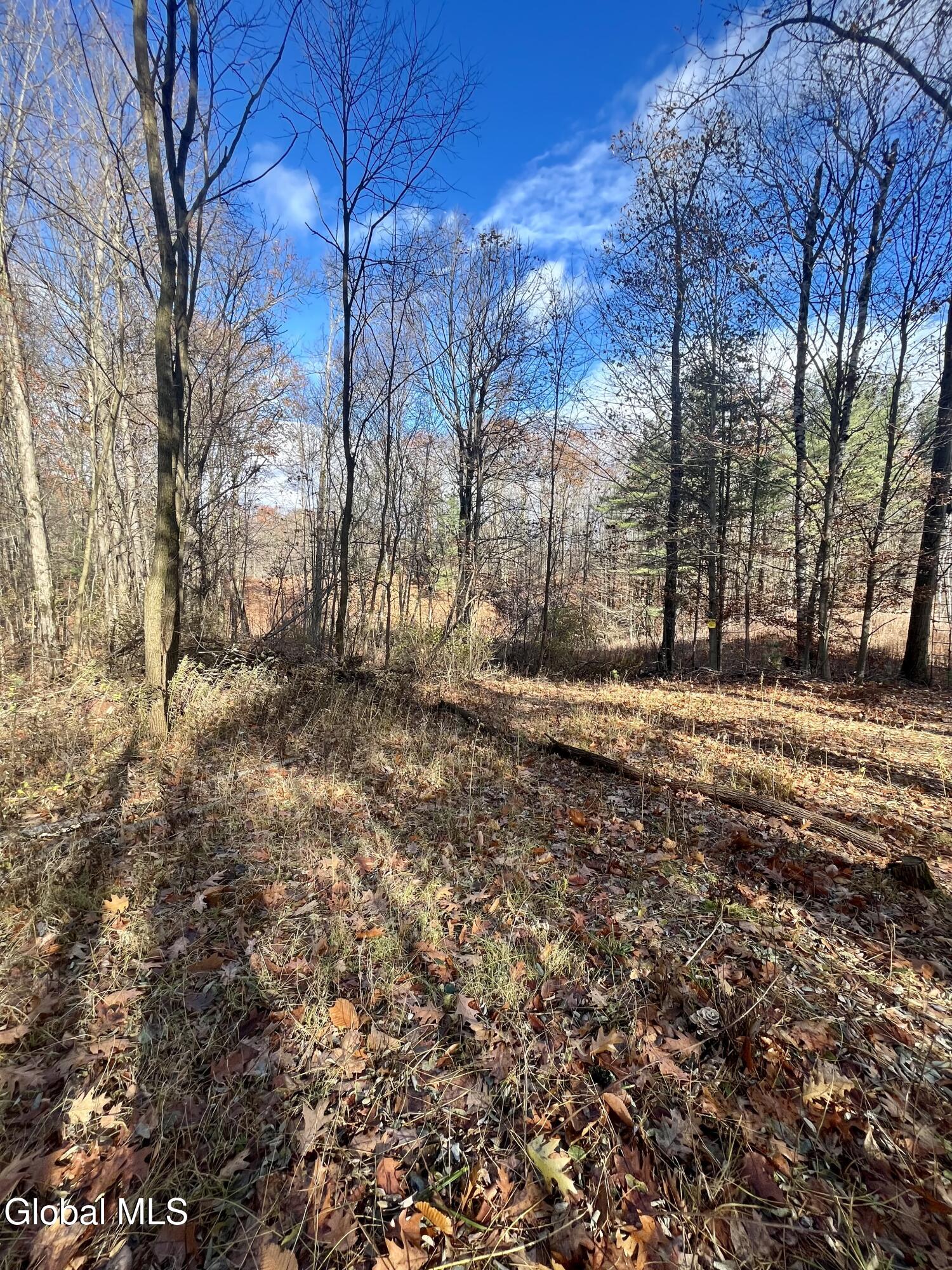 L38.11 Spring Avenue Extension E Gloversville NY 12078