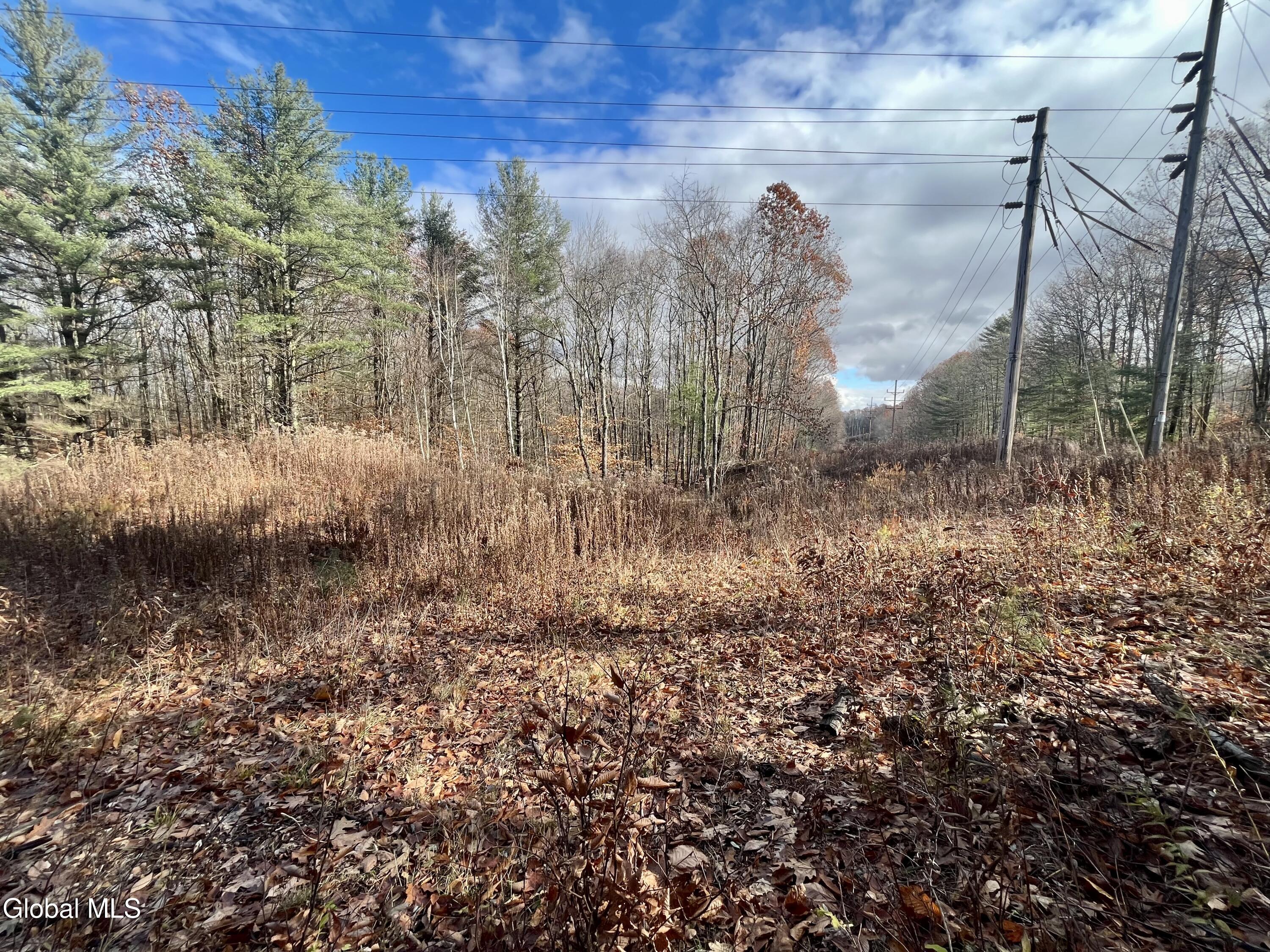 L38.11 Spring Avenue Extension E Gloversville NY 12078
