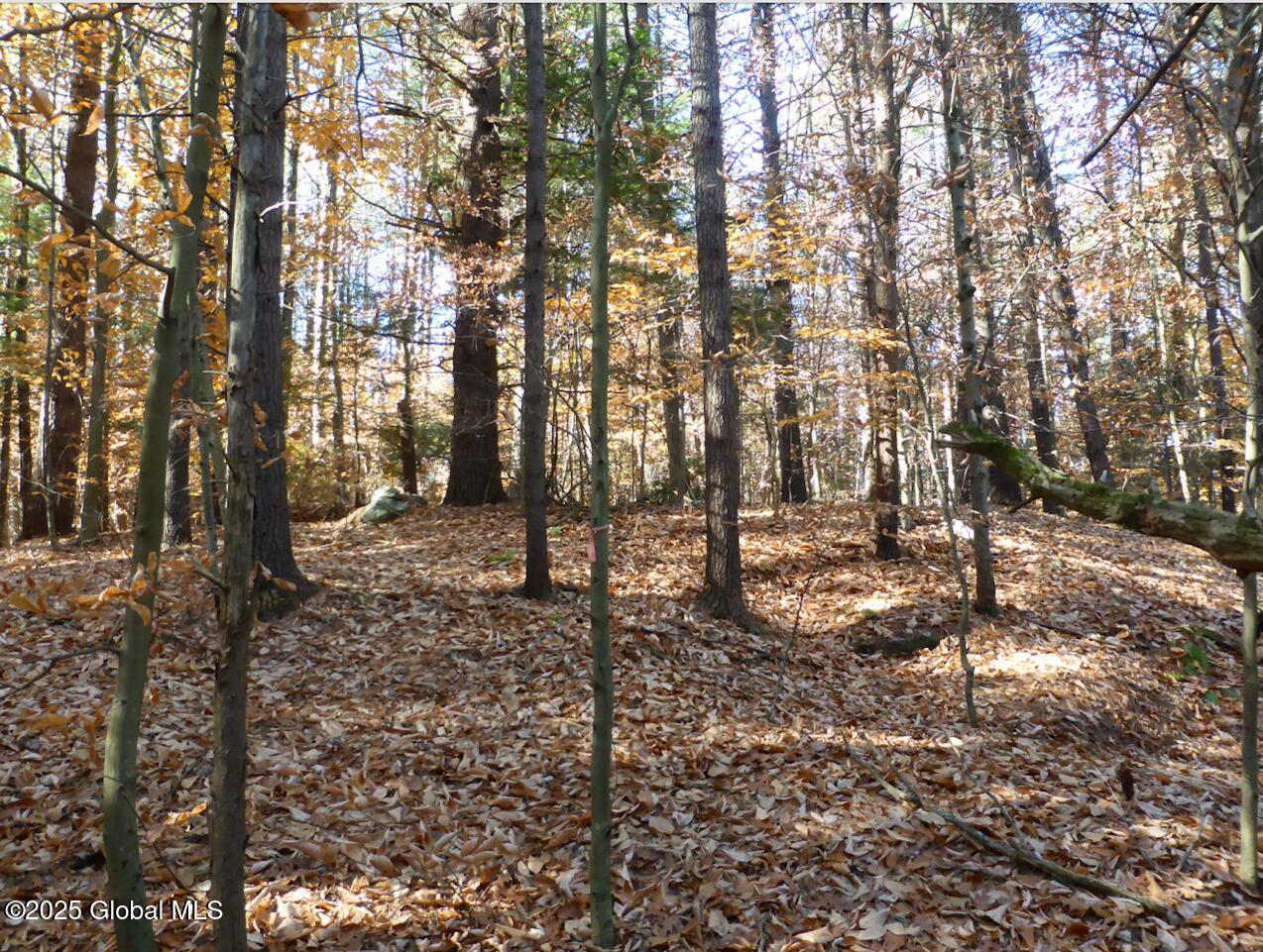 487 Antone Mountain Road Hadley NY 12835