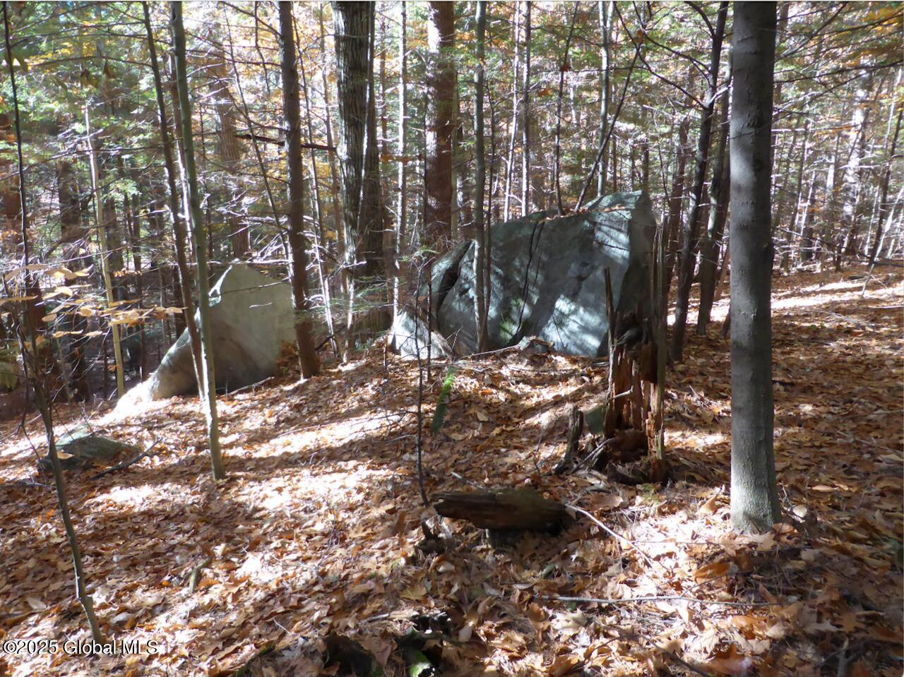 487 Antone Mountain Road Hadley NY 12835