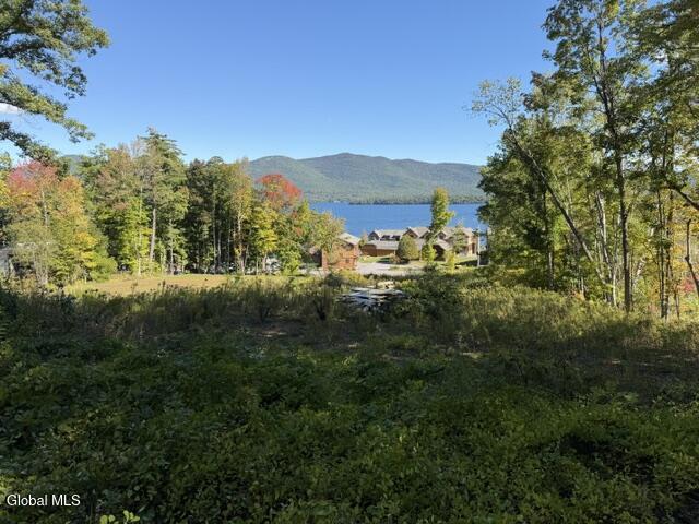 3931 Lake Shore Drive Diamond Point NY 12824