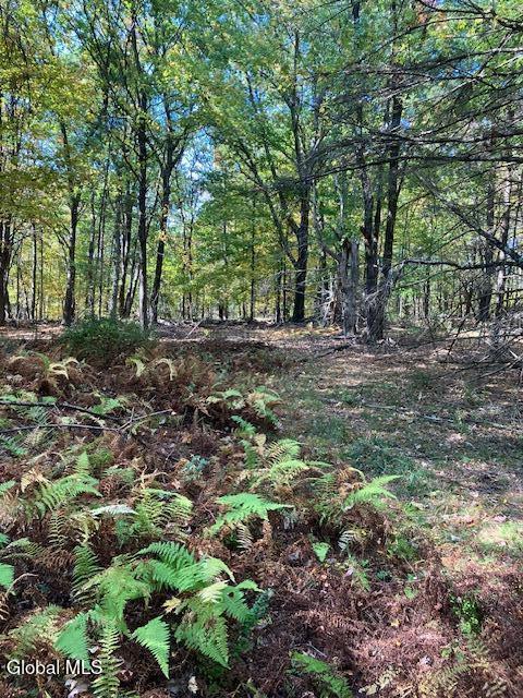 L7 Burden Lake Road Averill Park NY 12018
