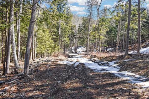 L17 Mountain Meadows Road Adirondack NY 12860