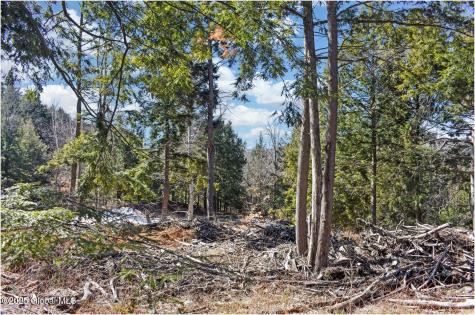 L17 Mountain Meadows Road Adirondack NY 12860