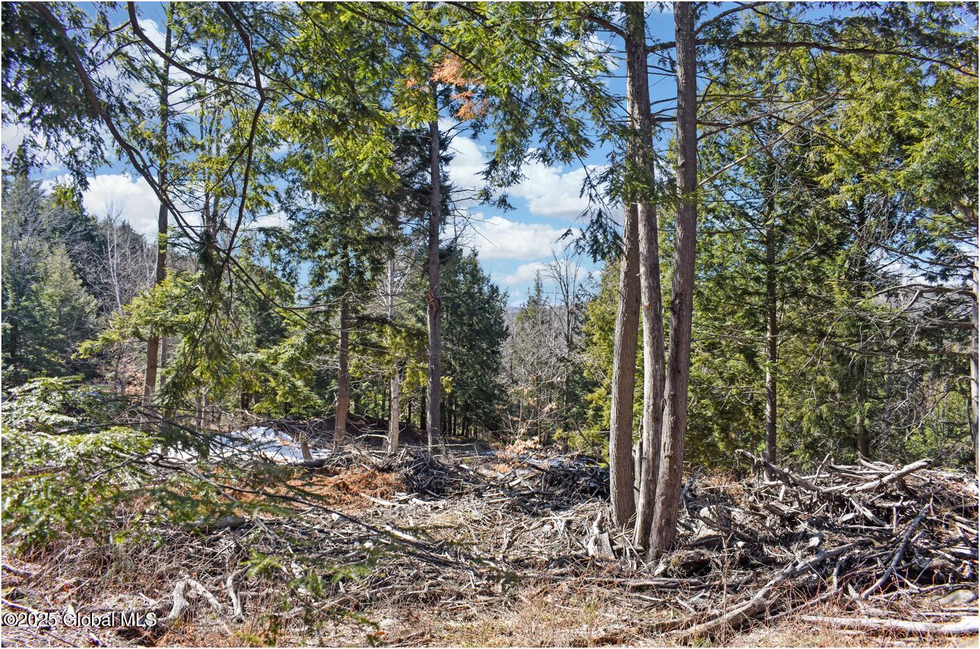 L17 Mountain Meadows Road Adirondack NY 12860