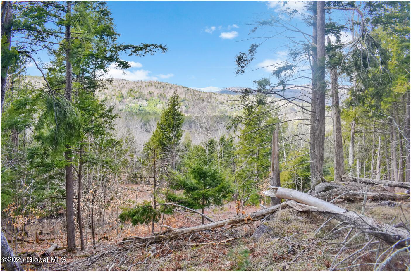 L17 Mountain Meadows Road Adirondack NY 12860