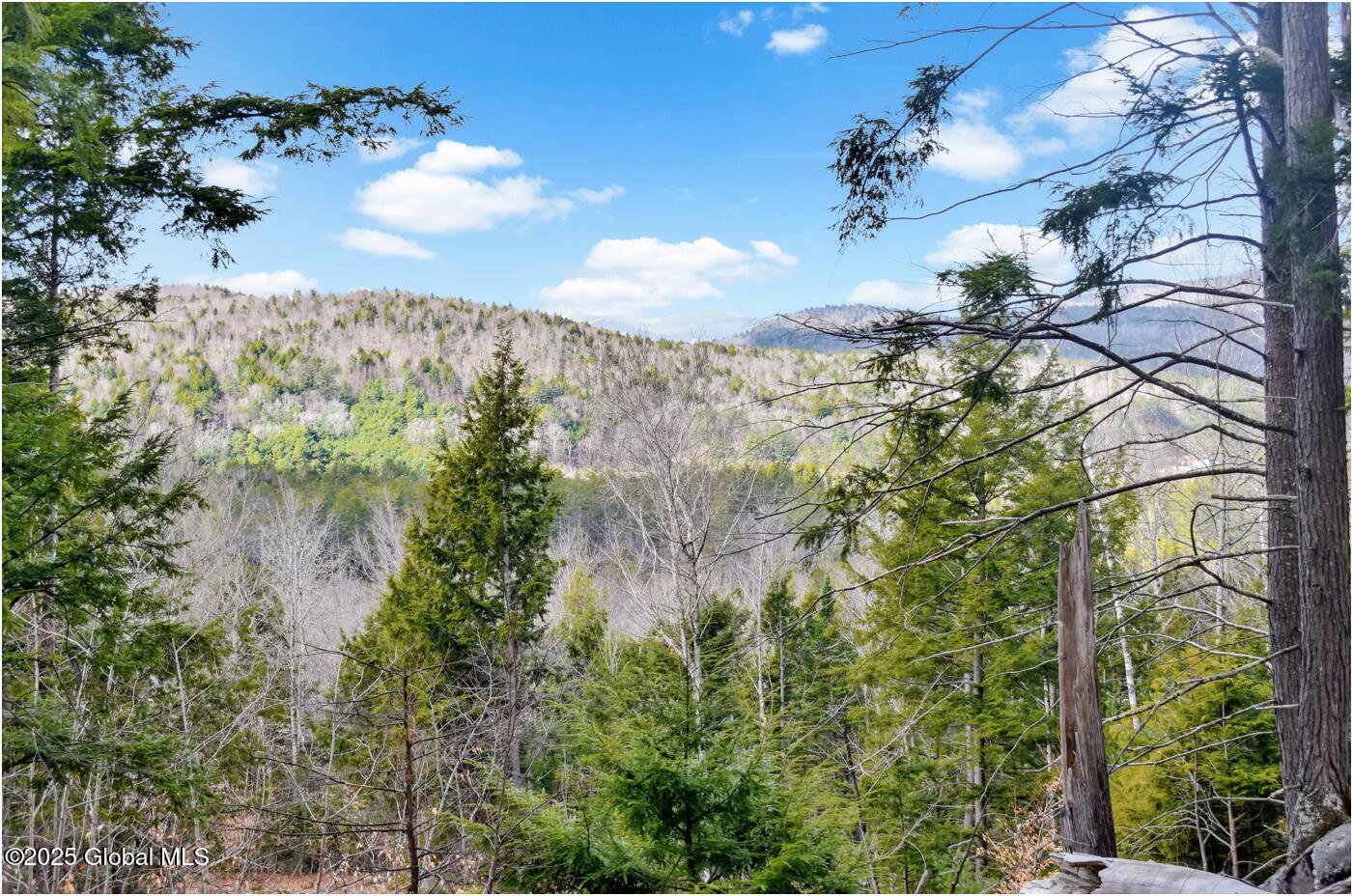 L17 Mountain Meadows Road Adirondack NY 12860