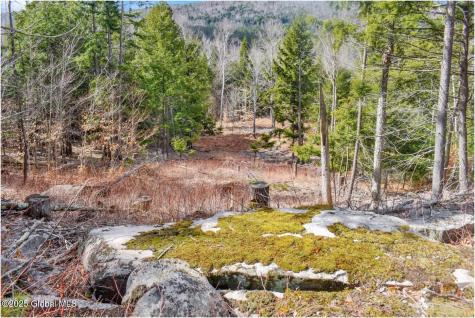 L17 Mountain Meadows Road Adirondack NY 12860