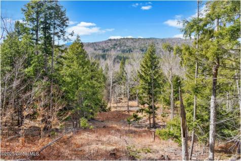 L17 Mountain Meadows Road Adirondack NY 12860