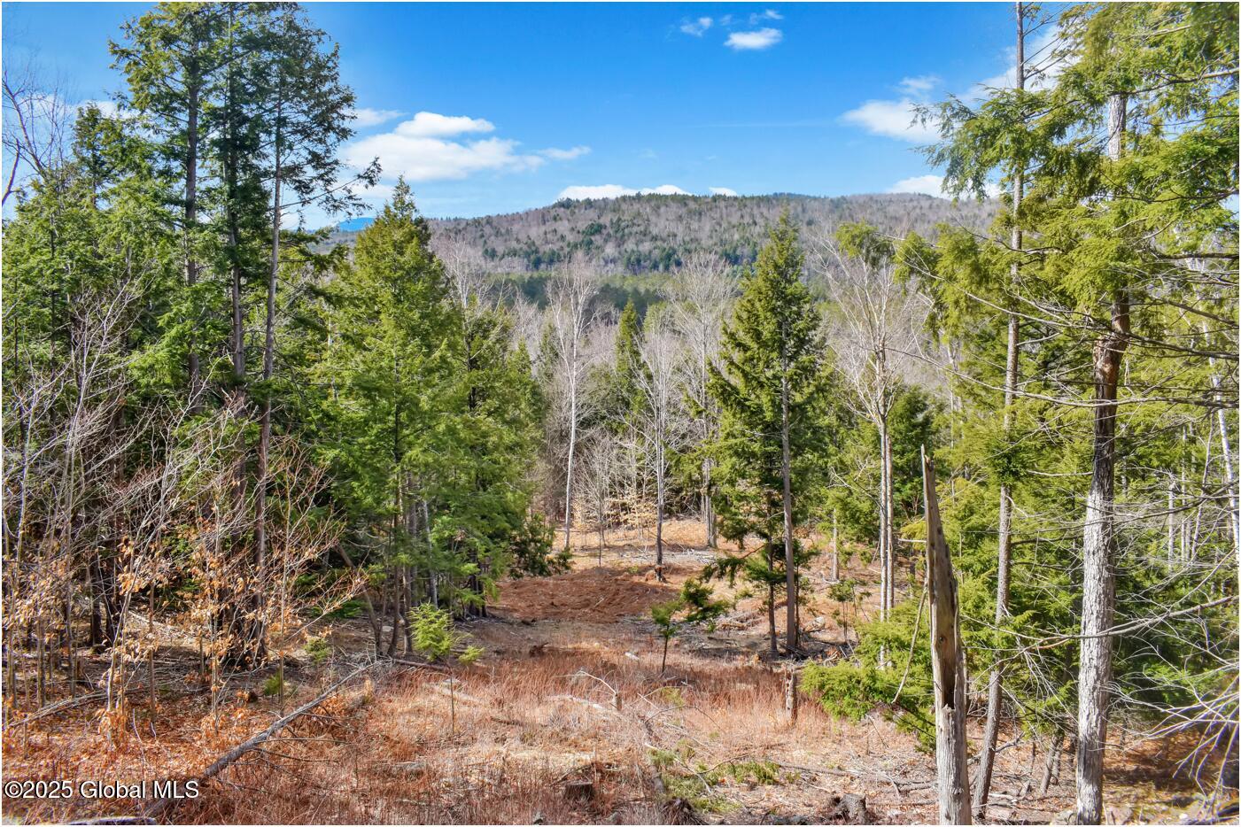 L17 Mountain Meadows Road Adirondack NY 12860