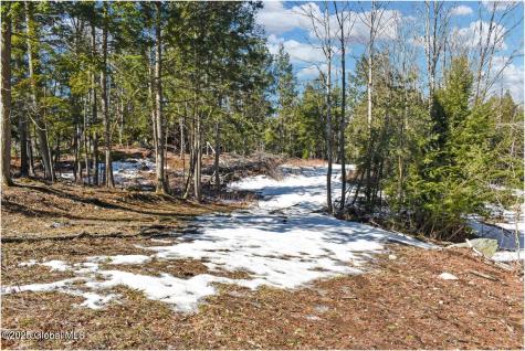 L17 Mountain Meadows Road Adirondack NY 12860