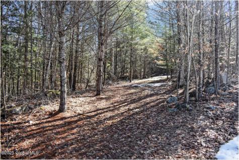 L17 Mountain Meadows Road Adirondack NY 12860