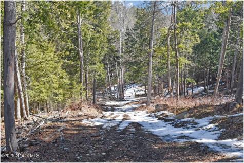 L17 Mountain Meadows Road Adirondack NY 12860